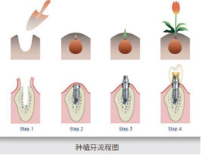 百科(kē)17.jpg