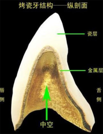 百科(kē)20.jpg